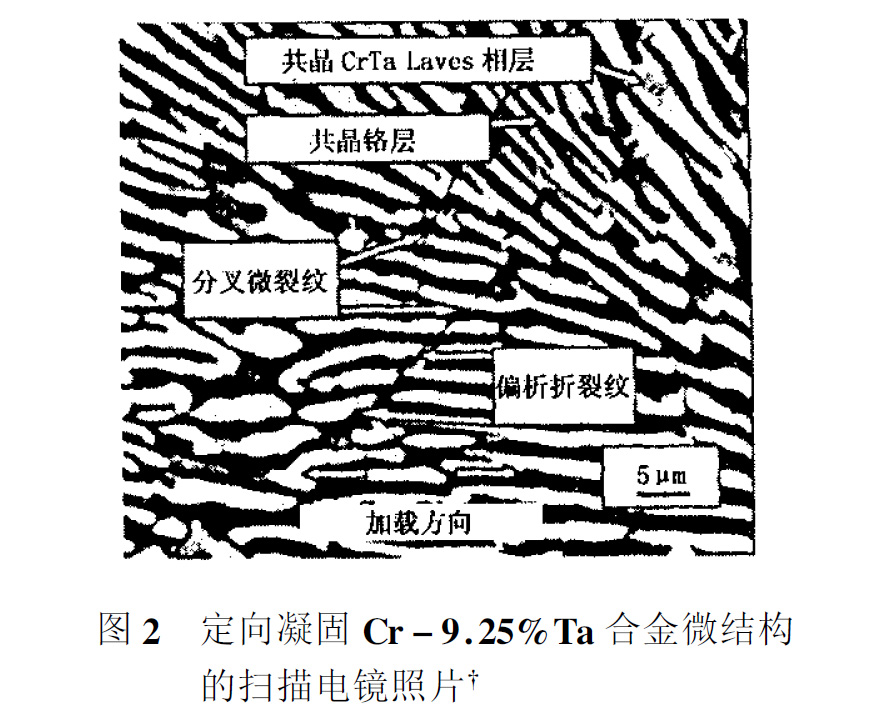 武器系統用鉭